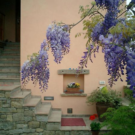 Il Glicine San Dorligo della Valle Exterior foto