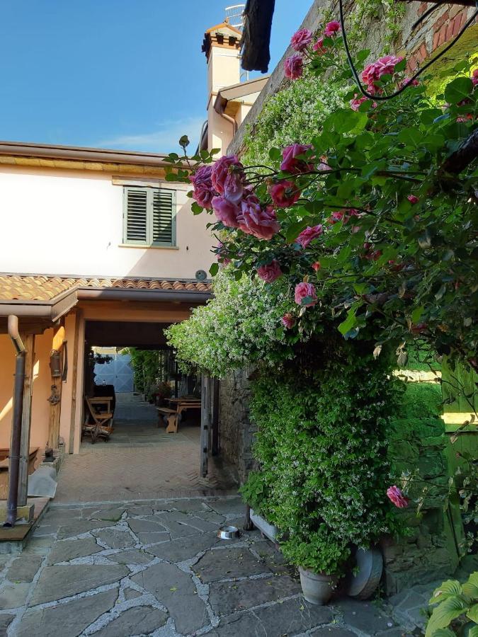 Il Glicine San Dorligo della Valle Exterior foto