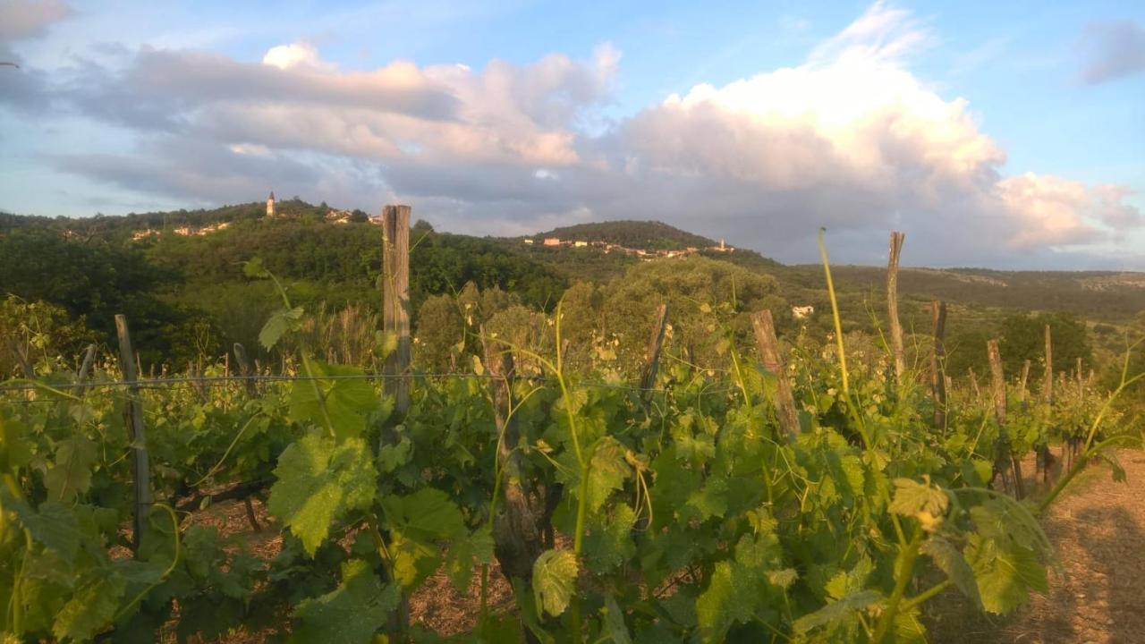Il Glicine San Dorligo della Valle Exterior foto