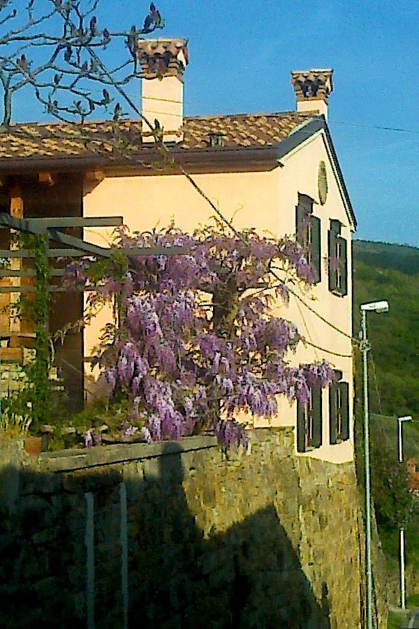 Il Glicine San Dorligo della Valle Exterior foto