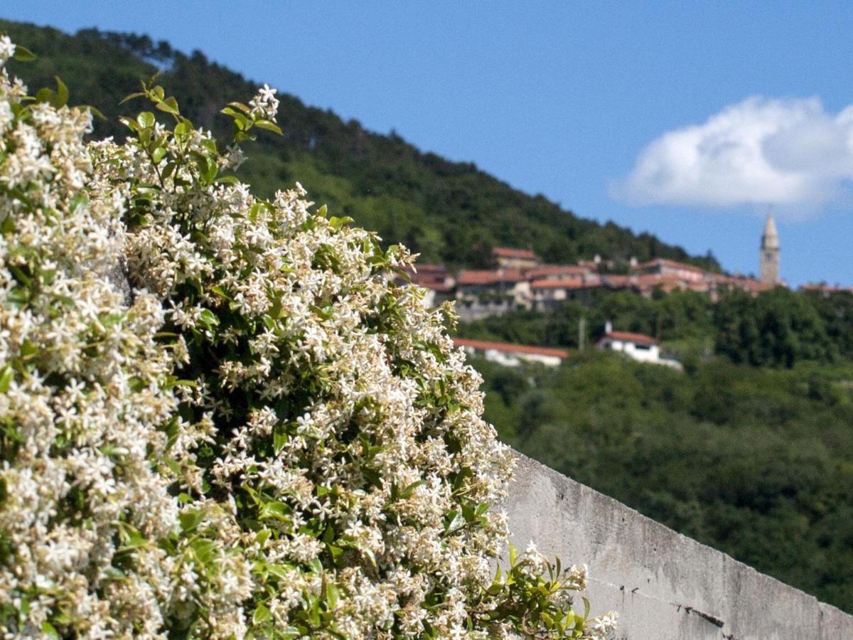 Il Glicine San Dorligo della Valle Exterior foto