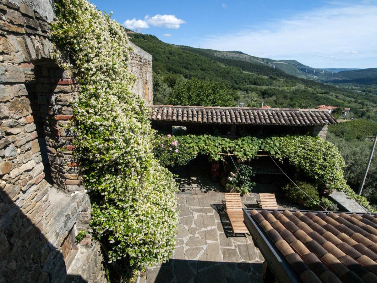 Il Glicine San Dorligo della Valle Exterior foto