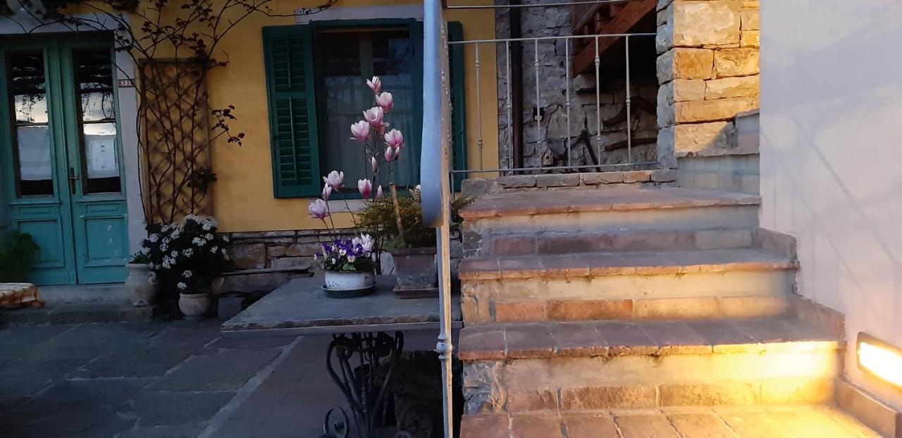 Il Glicine San Dorligo della Valle Exterior foto