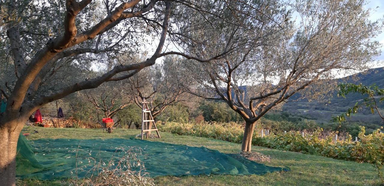 Il Glicine San Dorligo della Valle Exterior foto